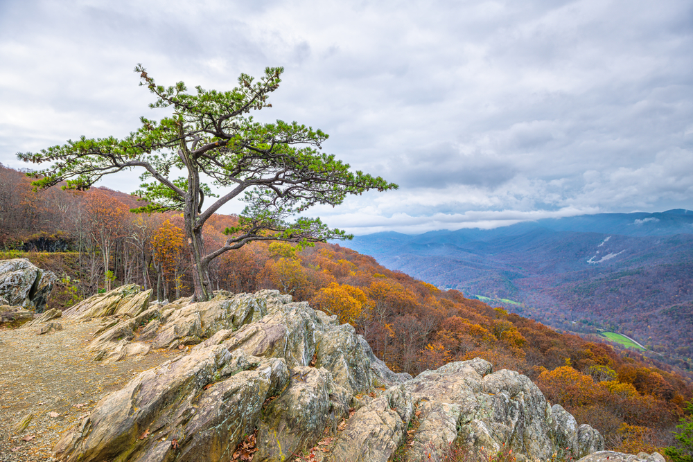 the stunning overlook known as raven roost in VA 