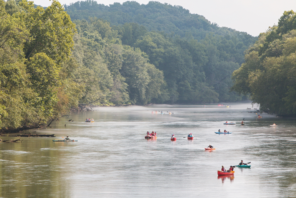 tubes, rafts, and kayaks in a wide river, trees on both sides of the river, tubing in georgia