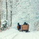 sleigh ride through the forest in west virginia at christmas