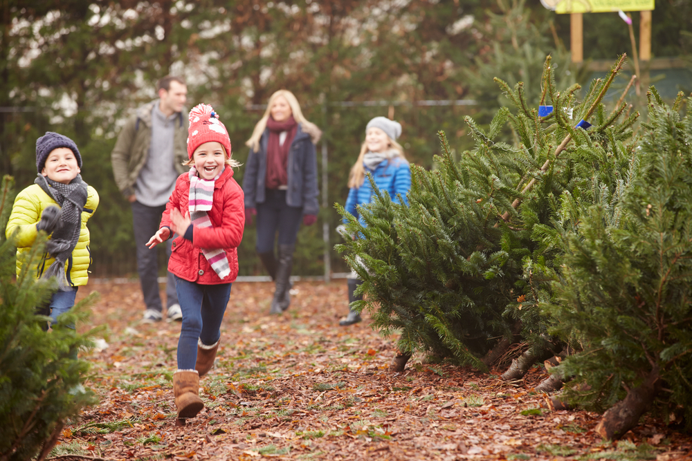 kids enjoying the outdoors with their family while walking through the selection of firs, pines and spruces, to pick the perfect Christmas tree!