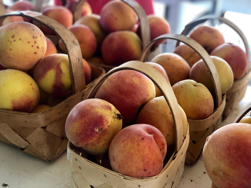 a bunch of baskets of perfectly picked peaches. This is one of the very best things to do in Georgia during the summer time. 