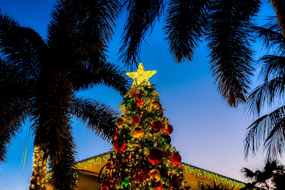 A lit Christmas tree visible behind some palm tree fronds in Conway, one of the best Christmas towns in South Carolina!