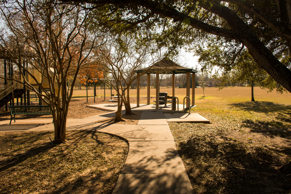 A park lit by the fall sun with leaves changing colours.