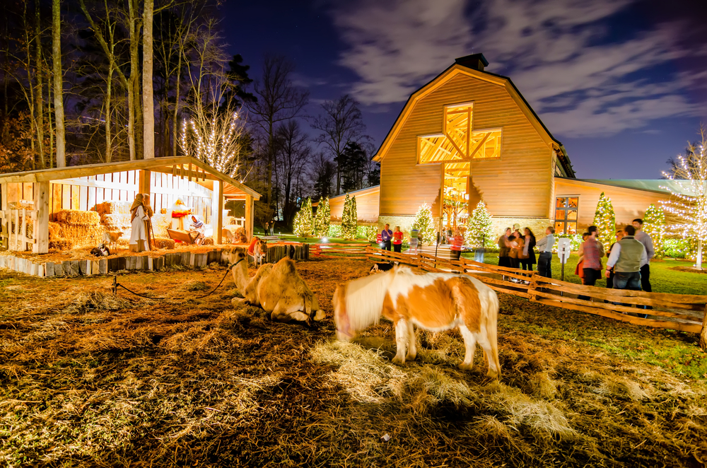 a camel and a pony are grazing in hay in front of a nativity scene in front of a church in one of the best christmas towns in north carolina 