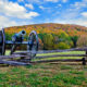 cannon located in Kennesaw mountain national battle park in autumn