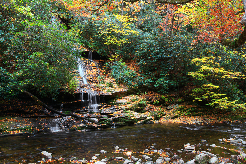 beautiful beginning of fall colours along the rivers edge with lovely waterfalls, the perfect spot for river tubing in North Carolina