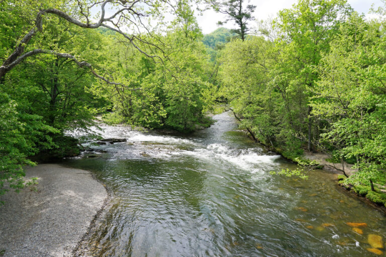 10 Best Places for River Tubing in North Carolina You Must Visit