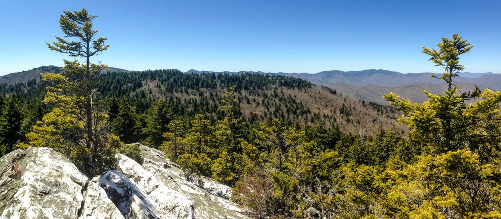 The looking glass rock viewpoint with green trees and rocks 
