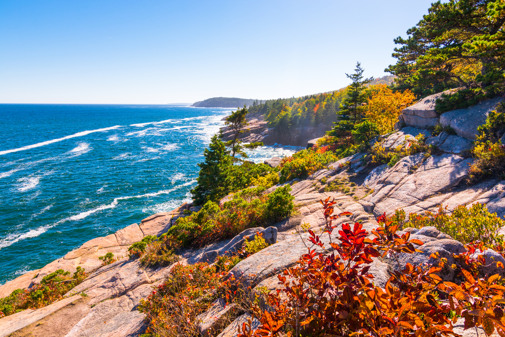 the coastline with red leaves, beautiful pines and a rocky overlook for the bright blue atlantic ocean!