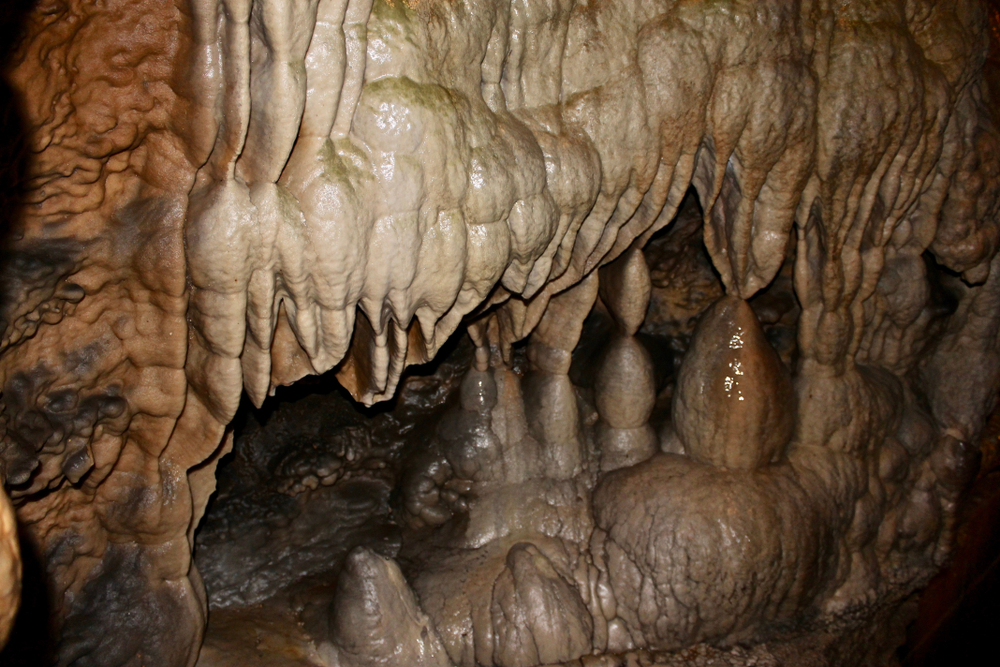 stalagmite formations inside linville caverns with years of formation present, some areas appearing wet and shiny while other areas are more of a darker color, what you might find at the best caves in North Carolina 
