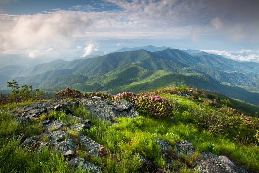 Majestic Blue Ridge Mountain Landscape on the Grassy Ridge spur trail off the Appalachian Trail along the state borders of Western North Carolina and Eastern Tennessee. The article is about living in North Carolina. 