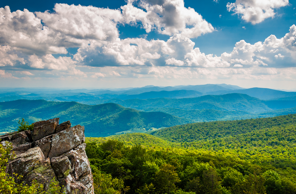 a great image of the blue ridge mountains; blue shadows over green trees at a rocky lookout on a cloudy day!