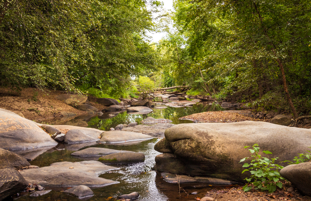 lush greens and browns at a crossing over the james river on a hiking trail, walk across the water on a rocky path and enjoy the outdoors while living in Virginia!