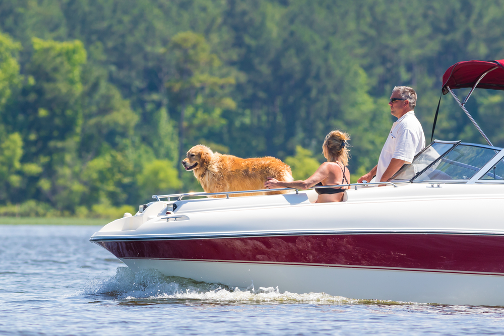 a family on a boat with a yellow dog on the beautiful river 