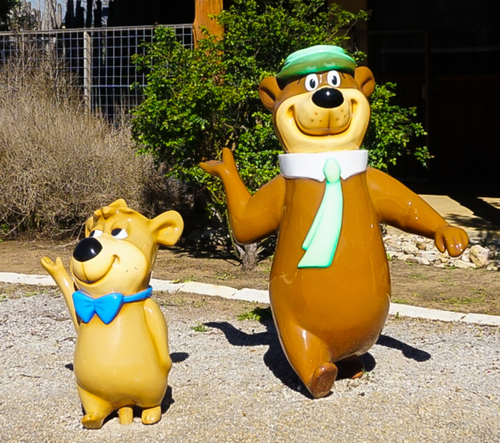 Yogi and boo boo the bears in one of the best campsites in North Carolina