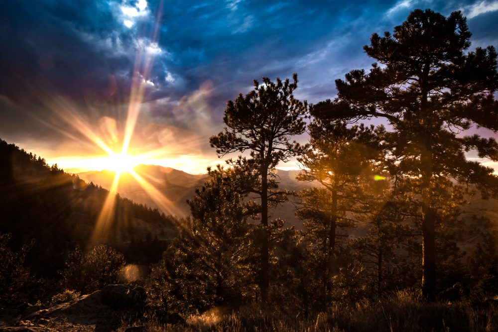 the beautiful view from sunset rock in lookout mountain with big pine trees and the sun peeking in 