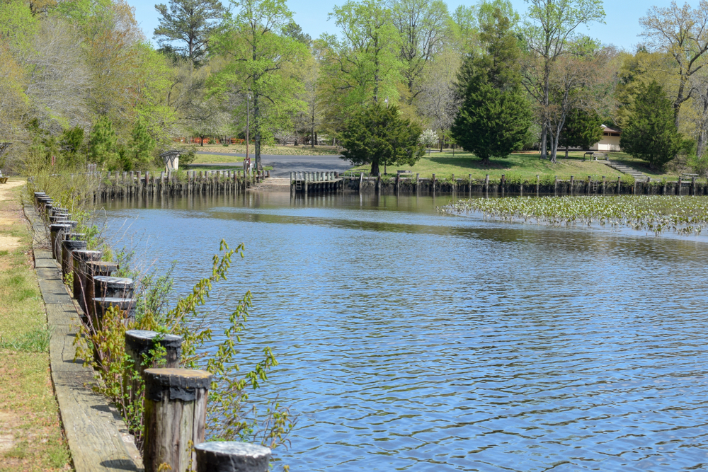 wooden boat ramp into fishing area at Martinak state park with blue skies and green trees surrounding the water 