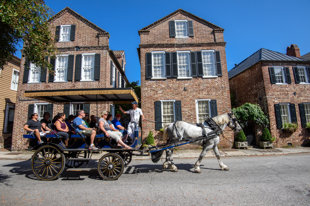 White horse pulling a carriage in front of brick buildings in Charleston.