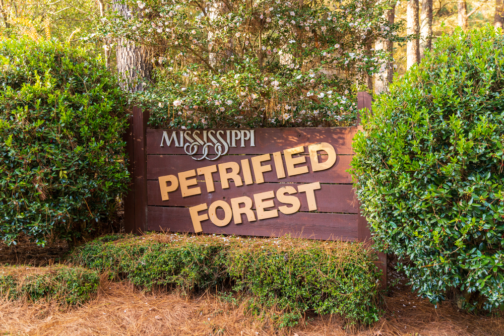 Wooden sign for the Mississippi Petrified Forest surrounded by trees.