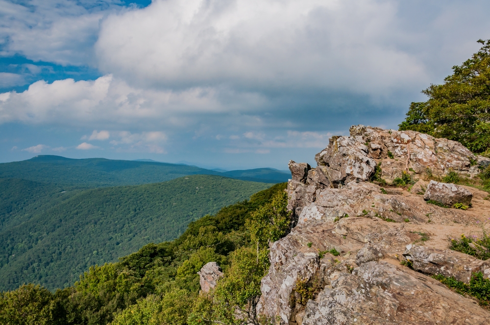 the beautiful summit of the Hawksbill Summit with green trees, brown rocks, and the beautiful blue ridge in the back round this is one of the best hikes in Shenandoah National Park