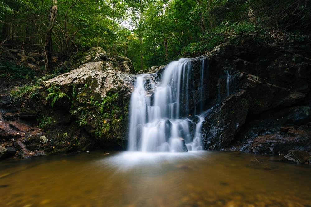 A closeup view of a cascading waterfall that drops into a pool with not a lot of natural sunlight surrounded by bright green foliage