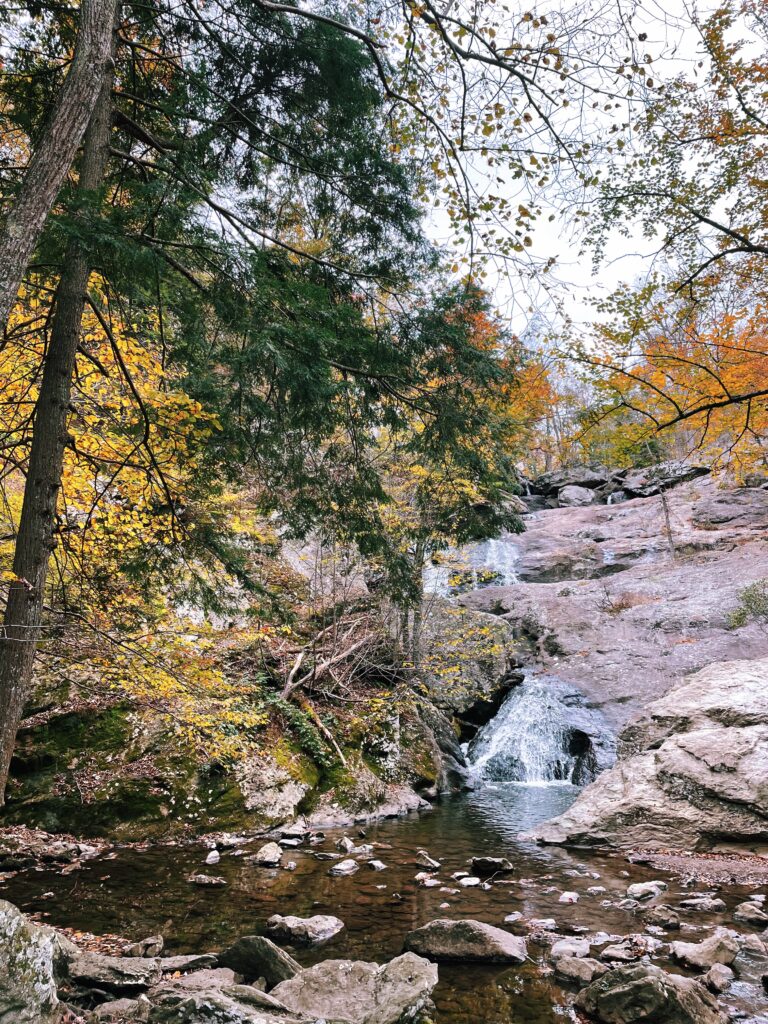 A waterfall falling down a steep rock face into a pool of water surrounded by leaves with orange leaves