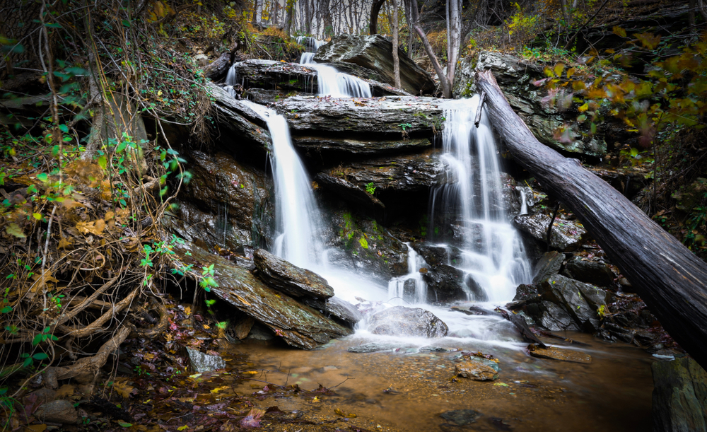 a small waterfall in the woods on the side of a hill with water falling over it and fall leaves and ferns around it.