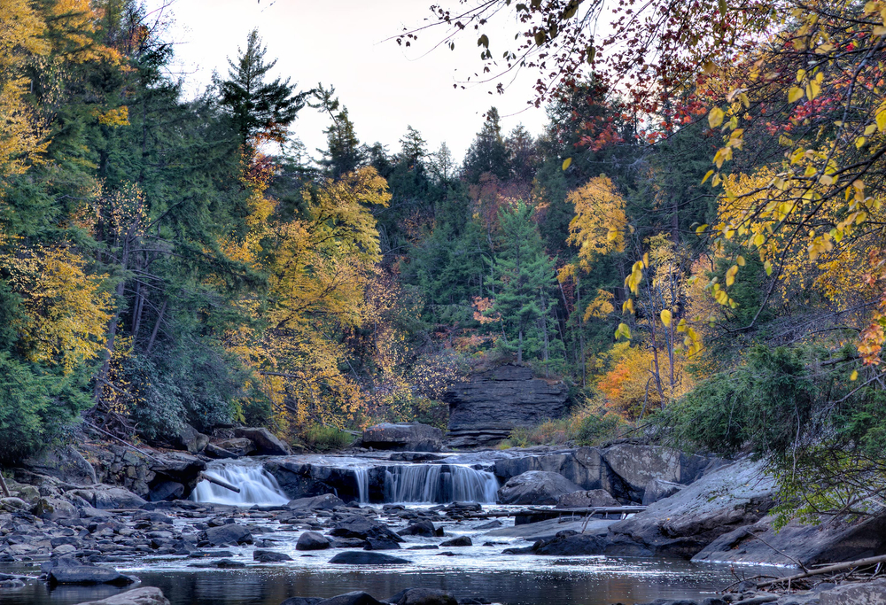 Looking straight on at the swallow falls in Maryland during the fall with fall leaves on the trees