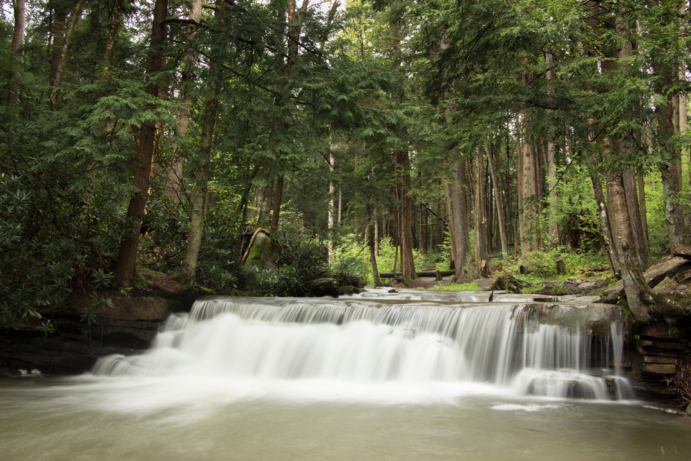 A peaceful waterfall falling over a small rocky edge into a river, surrounded by a dense green forest, best waterfalls in Maryland