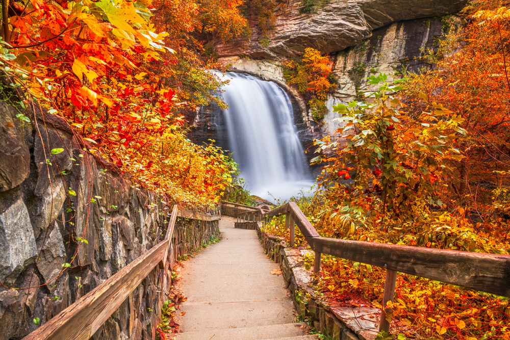 a staircase leading down to a dramatic waterfall and one of the top swimming holes near Asheville, the staircase is surrounded by fall foliage 