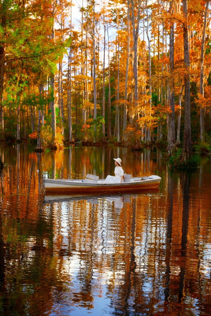one of the best hidden gems in charleston south carolina, a woman sits in a boat in the swamp surrounded by fall trees 