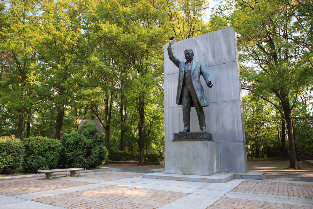 large statue of Theodore Roosevelt with his arm raised stands tall next to a bench surrounded by trees on Theodore Roosevelt island 