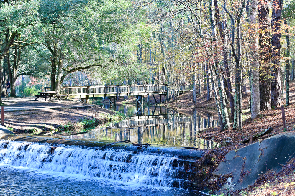 The woods and stream at Sesquicentennial State Park, one of the top state parks in South Carolina. 
