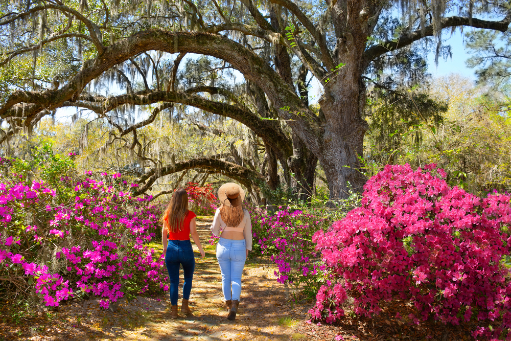 two women are walking on a path that has pink flowers on both sides of it, one woman has on a wide brimmed hat in the summertime