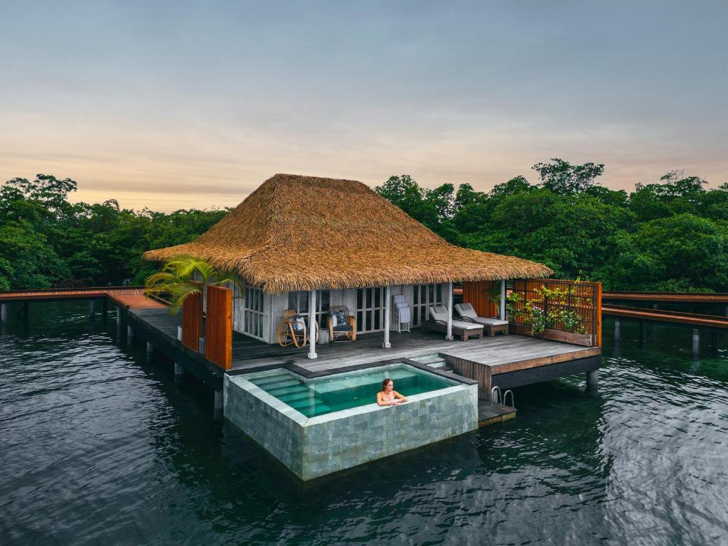 thatched overwater bungalow with a poll and a deck with tress behind. 