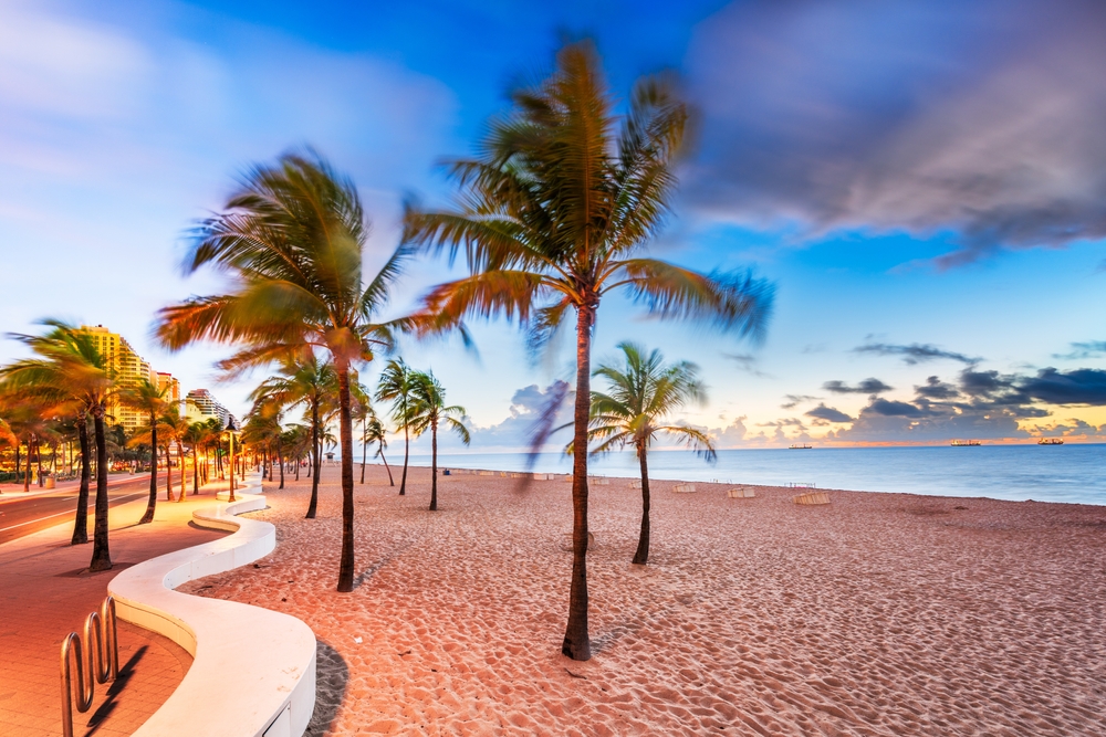 At dusk, palm trees sway in a breeze against the lightening sky and soft sand in Fort Lauderdale.