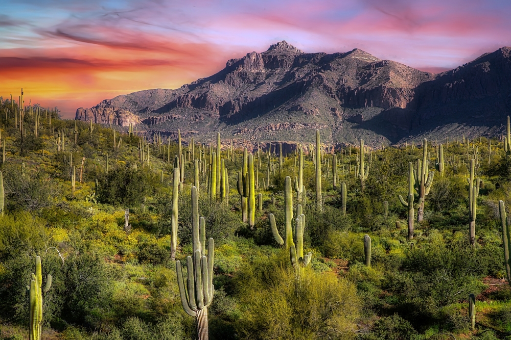 A shot of Phoenix shows mountains in the sunset, with dessert terrain surrounding it, featuring cactus'.