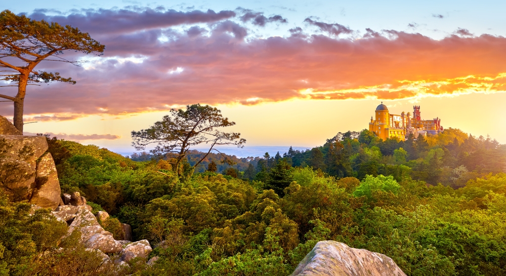 At sunset, the golden hour reflects on the forest outside of Libson, one of the most stunning natural places near the city, the city itself in the distnace with colored buildings. 
